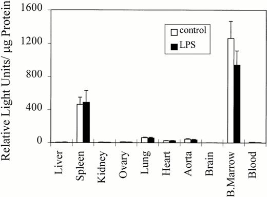 Fig. 7. Transgene activity in an animal model of gram-negative sepsis. LPS was administered to mice (colony 32) containing a luciferase transgene under the control of the mouse GP Ibα promoter. The wide range of LPS-induced effects and toxicity in mice is well documented and doses administered to individual mice were sufficient to achieve maximal levels for a variety of cytokines. LPS was administered by intraperitoneal injection (25 mg/kg) and luciferase activity in the major murine organs was determined. Results are shown for assays performed 24 hours postinjection, although similar results were obtained at 4-hour intervals leading up to the 24-hour assay shown. The mean and standard error of the mean are shown for each organ (n = 4). Control mice were injected intraperitoneally with an equal volume of saline buffer. No differences in the levels of luciferase activity were observed at any time point.