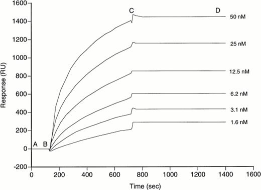 Fig. 7. Kinetics of fVIII/BO2C11 association. BO2C11 was bound to the sensor chip surface by covalent coupling. Real-time binding was measured for rfVIII at the concentrations indicated. Between each experiment, surface-bound rfVIII was washed off by incubation with HCl, pH 2.0, for 36 seconds. The SPR response gives the amount of surface-bound component at each stage of the reaction, namely (A and B) baseline resonance signal; (B and C) association phase; and (C and D) dissociation phase.
