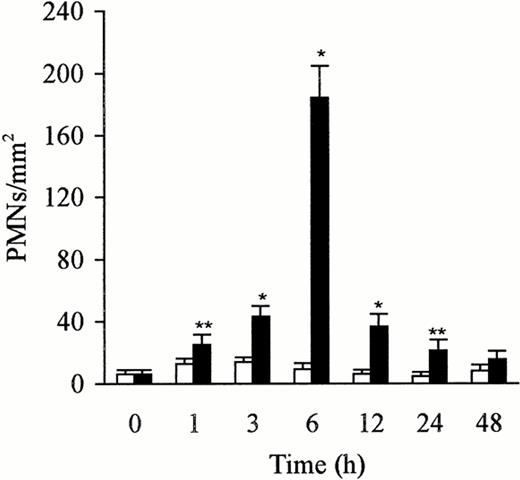 Fig. 3. Number of PMNs in the liver after treatment with sterile saline (□) or LPS (▩). A slight increase of PMNs at 1 to 3 hours and a significant increase at 6 hours in the LPS-treated group were observed. The number of cells is expressed per mm2 of semithin section (0.2 μm). Data are expressed as mean ± SD. Bars represent SD. *P < .01, **P < .05 versus saline treatment. Five rats per group were examined.