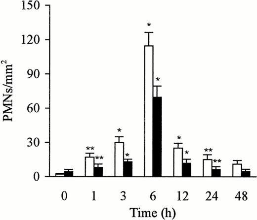 Fig. 8. Number of free and phagocytosed PMNs in the liver after the administration of LPS. The number of free (□) and phagocytosed (▩) PMNs increased rapidly and reached maximal levels at 6 hours. The number of cells is expressed per mm2 of semithin section (0.2 μm). Data are expressed as mean ± SD. Bars represent SD. *P < .01, **P < .05 versus time 0 group. Five rats per group were examined.