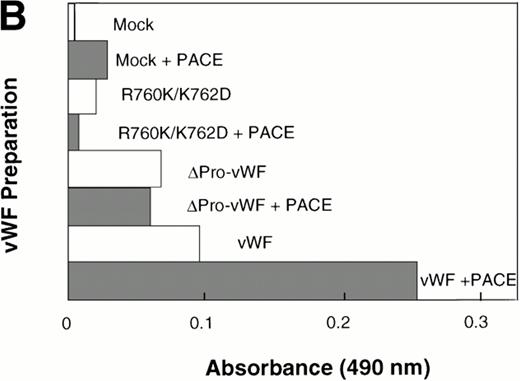 Fig. 7. In vitro cleavage of pro-vWF by PACE/furinincreases binding affinity to factor VIII. COS-1 cells were transfected with wild-type vWF, ΔPro-vWF, or cleavage site mutant R760K/K762D vWF and conditioned medium was harvested. vWF from the conditioned medium was immobilized on anti-vWF polyclonal antibody-coated microtiter plates. The immobilized vWF was then treated with concentrated conditioned medium from PACE-Sol–transfected or mock-transfected COS-1 cells as described in the Materials and Methods. In (A), proteins were recovered from the wells and analyzed by SDS-PAGE under reducing conditions and Western blot analysis using polyclonal anti-vWF antibody. (○) Pro-vWF; (•) mature vWF. (B) Factor VIII binding (1.25 nmol/L) to vWF preparations (wild-type, ΔPro-vWF and R760K/K762D vWF) that were immobilized on anti-vWF polyclonal antibody-coated microtiter plates and then treated with conditioned medium from mock-transfected or PACE-Sol-transfected (+ PACE) COS-1 cells. Although the results depicted here are from a single experiment with a single concentration of factor VIII in which Western blot analysis was performed in parallel (A), this experiment was performed several times with varying concentrations of factor VIII and gave consistent results.