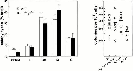 Fig. 3. Distribution of the different types of colonies in methylcellulose cultures of bone marrow cells from compound RARα1−/−γ−/− null mice and littermate or wild-type controls. Colonies were scored on day 7 and the results expressed as percent total colony count (left panel). Total number of nucleated bone marrow cells recovered from the long bones of RARα1−/−γ−/− mice and wild-type controls or heterozygous littermates. There was no significant difference among the four groups (right panel).