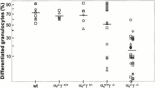 Fig. 5. Granulocyte differentiation in methylcellulose culture. GM colonies were harvested individually and stained as in Fig 4. Results are shown as percent differentiated granulocytes (metamyelocytes, bands, and PMN) within the granulocytic lineage. The difference between wild-type controls and RARα1−/−γ−/− was significantly different (P < .05), whereas the difference with other groups was not significant.