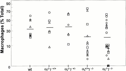 Fig. 6. Macrophage differentiation in methylcellulose culture. The macrophage content of each GM colony is shown as a percentage of total cells. There was no significant difference among the various groups.