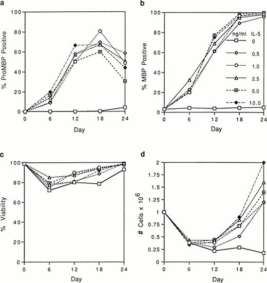 Fig. 3. Analyses of UCC stimulated for 0 to 24 days with 0 to 10 ng/mL of IL-5. Cells from different donors at days 0, 6, 12, 18, and 24 were analyzed, and the mean for each separate point was determined. Each point represents the mean from at least two separate donors. (a) The percentage of immunofluorescent cells positive for proMBP determined by staining with anti-proMBP J163-15E10. (b) The percentage of cells positive for MBP determined by staining with rabbit #14 anti-MBP. (c) The percentage of viable cells determined by trypan blue uptake. (d) The absolute number of cells ×106/mL.