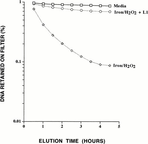 Fig. 4. Effect of sustained L1 exposure on iron/hydrogen peroxide–mediated DNA single-strand breaks. Iron-loaded liver cells were incubated in 1 mmol/L L1 for 1 hour, followed by exposure to 100 μmol/L hydrogen peroxide for 30 minutes during which exposure to 1 mmol/L L1 was maintained. Illustrated is a representative experiment performed in duplicate and the values obtained were averaged. Shown are DNA single-strand breaks in control cells exposed to media alone, iron-loaded cells exposed to hydrogen peroxide, and iron-loaded cells exposed to hydrogen peroxide in the presence of L1.