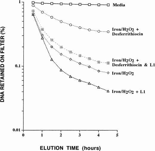 Fig. 5. Combined effect of desferrithiocin and L1 on iron/hydrogen peroxide–mediated DNA single-strand breaks. Iron-loaded liver cells were simultaneously exposed to 1 mmol/L L1 and 0.67 mmol/L desferrithiocin for 1 hour, followed by incubation with 100 μmol/L hydrogen peroxide for 30 minutes in the absence of either chelator. Illustrated is a representative experiment performed in duplicate and the values obtained were averaged. Shown are DNA single-strand breaks in control cells exposed to media alone, iron-loaded cells exposed to hydrogen peroxide, iron-loaded cells exposed to desferrithiocin followed by hydrogen peroxide, iron-loaded cells exposed to L1 followed by hydrogen peroxide, and iron-loaded cells exposed to both desferrithiocin and L1 followed by hydrogen peroxide.