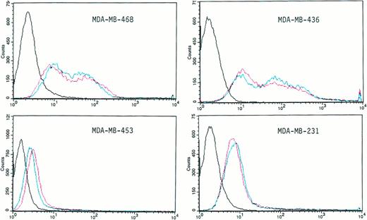 Fig. 4. Infectivity of different human BCC lines by the β-galactosidase Ad.CMV adenoviral vector. BCCs were exposed in suspension for 90 minutes (red line) or 24 hours (blue line) to 100 MOI of the Ad.CMV-βgal vector. Twenty-four hours later, the cells were washed with PBS, stained with FDG, and analyzed by flow cytometry as described in the Materials and Methods. The profile defined by the black line is the control in the absence of virus. The red and the blue profiles are from samples exposed to the vector for 90 minutes and 24 hours, respectively.