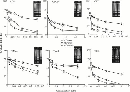 Fig. 2. 32D-neo (□), 32D-c-myc (◊), and 32D-max (○) cells were treated as described in Fig 1 except that they were also maintained in IL-3–depleted medium for the duration of the experiment. Viability was then determined at 18 hours for ADR, CPT, VP-16, and CDDP; 14 hours for N-Mus; and 16 hours for Taxol. The results shown here are the average of three experiments ±1 SE. Note that the viability of the cells in the absence of drug is not 100% due to cell death caused by the absence of IL-3. Viability was again scored by trypan blue exclusion. Apoptotic DNAs are again depicted as in Fig 1.