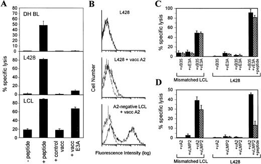 Fig. 4. L428 is unable to present endogenously synthesized antigens to HLA class I–restricted CTLs. (A) A B35-restricted EBNA 3A-specific CTL clone tested against DH BL, L428, and a B35-matched LCL target. All targets had either been preincubated with the cognate peptide epitope (EBNA 3A residues 458-466) or preinfected with a recombinant vaccinia vector expressing EBNA 3A. As controls, targets were preincubated with an equivalent dilution of DMSO solvent (−peptide) or with the vaccinia vector alone (control vacc). (B) Expression of HLA A2 from a recombinant vaccinia vector was tested in L428 and an HLA A2-negative LCL. Viable cells were analyzed by FACScan for surface expression of HLA A2 using the MoAb BB7.2. Solid line, BB7.2 staining; dotted line, staining with second step antibody alone. (C) A B35-restricted EBNA 3A-specific CTL clone tested against a B35-negative LCL and L428. Targets were infected with vaccinia recombinants expressing HLA B35 and/or EBNA 3A and in one case targets were also preincubated with the cognate peptide epitope (EBNA 3A residues 458-466). (D) An A2-restricted LMP 2-specific CTL clone tested against an A2-negative LCL and L428. Targets were infected with vaccinia recombinants expressing HLA A2 and/or LMP 2 and in one case targets were also preincubated with the cognate peptide epitope (LMP 2 residues 426-434). E:T ratios = 5:1 (▪) and 1:1 (▨). Results of cytotoxicity assays are expressed as % specific lysis + 1 SD and are representative of several repeated assays.