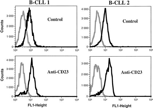 Fig. 6. Ligation of CD23 increases iNOS expression in B-CLL cells. Purified leukemic B cells from two patients were incubated for 48 hours in the presence of control medium or anti-CD23 135 MoAb (10 μg/mL). FACS analysis was then performed by direct immunofluorescence on permeabilized cells with an FITC-labeled anti-iNOS MoAb (clone 6) (black line), using FITC-IgG2a as an isotypic matched control MoAb (gray line).