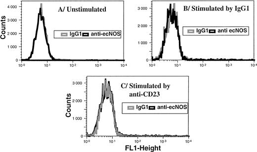 Fig. 7. Ligation of CD23 does not elicit ecNOS expression in B-CLL cells. Purified leukemic B cells were incubated for 48 hours in the presence of medium alone (A), mouse IgG1 (10 μg/mL) as a control (B), or anti-CD23 135 MoAb (10 μg/mL) (C). FACS analysis was then performed by indirect immunofluorescence on permeabilized cells as described in Materials and Methods. Gray line, IgG1 isotype control; black line, anti-ecNOS MoAb.