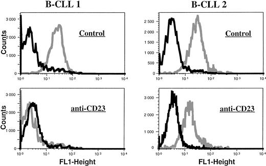 Fig. 10. CD23 ligation reduces the percentage of annexin V-labeled B-CLL cells. Freshly collected leukemic cells from two patients were incubated for 48 hours in the presence of medium alone (upper histograms) or containing anti-CD23 MoAb (MoAb 135, 10 μg/mL) (lower histograms), then labeled with FITC-annexin V. FACS analysis was performed as previously on the global cell population, using an FITC-labeled goat anti-rabbit Ig F(ab′)2 (black line) as a control of nonspecific labeling for FITC-Annexin V (gray line).