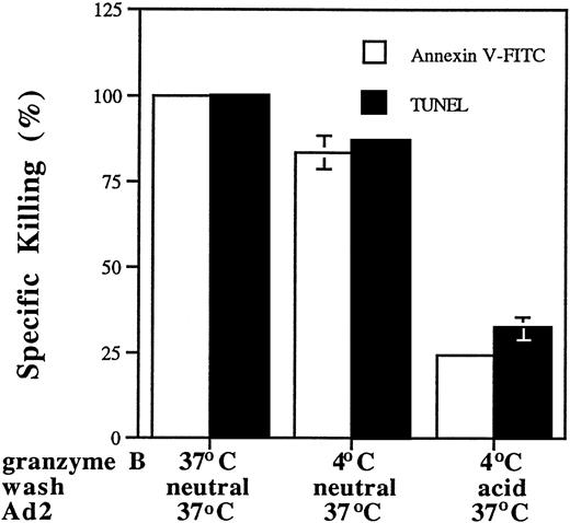 Fig. 3. Uptake of granzyme B is mediated through specific interactions at the cell surface. Jurkat cells were incubated in granyzme B at 4°C or 37°C for 60 minutes, washed in citrate (pH 3.0) or medium pH 7.4. Cell death was assayed by TUNEL and annexin V-FITC and analyzed by flow cytometry. Percentage of specific killing by granzyme B and Ad2 at 4°C was calculated relative to that observed at 37°C. Sufficient granzyme B remained bound to targets at 4°C after a neutral wash to induce apoptosis after addition of Ad2 at 37°C, whereas acid wash of granzyme B-treated cells at 4°C significantly reduced the level of cell death.