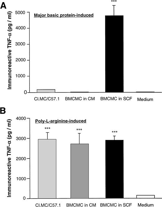 Fig. 5. Production of TNF-α from different populations of mast cells stimulated with either MBP or poly-L-arginine. BMCMC in SCF, BMCMC in CM, or Cl.MC/C57.1 mast cells were stimulated with either MBP (10−6 mol/L) (A) or poly-L-arginine (10-5mol/L) (B) for 30 minutes. Supernatants were then collected and analyzed for TNF-α by ELISA. Cell viability was greater than 90% as determined by Trypan blue exclusion. The data are expressed as mean ± SD (n = 3). ***P < .05 by the two-tailed paired Student's t-test.