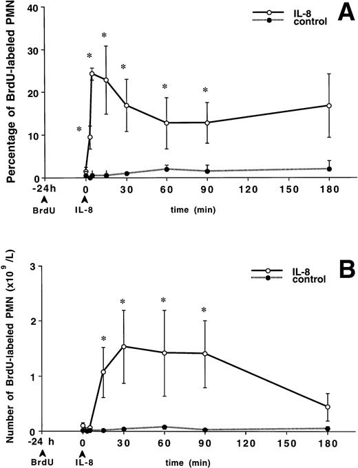 Fig. 2. The release of PMNBrdU into the circulation after IV IL-8 (2.5 μg/kg) (n = 4) or saline (n = 4). BrdU was infused 24 hours before the IL-8 was administered. At time 0, the percentage of PMNBrdU in the circulation was less than 2% (A). IL-8 induced a rapid increase in the percentage of PMNBrdU in the circulation, which remained higher than the controls for 90 minutes (*P < .05 v control). (B) Shows the absolute number of PMNBrdU in the circulation. After IV IL-8, the number of circulating PMNBrdU increased and peaked at 60 minutes, then gradually declined to baseline levels at 180 minutes. The control group showed no change in either the percentage or the number of PMNBrdU during the 180-minute study period. Values are mean ± SEM.