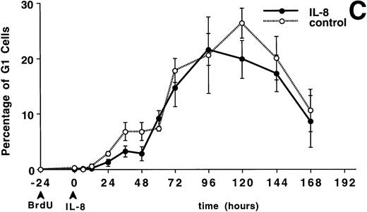 Fig. 4. The appearance and disappearance of PMNBrdUin the circulation after IV IL-8 (2.5 μg/kg) (n = 5) or saline (n = 4). (A) Shows all the PMNBrdU. In both groups there was a slow increase between 0 and 12 hours followed by a rapid increase to peak levels between 36 and 48 hours and then a slow decline over the following 5 days. G3 cells (representing the transit time through the postmitotic pool) peaked at 36 hours (B) and G1 cells (representing the transit time through both the mitotic and postmitotic pools) peaked between 96 and 120 hours in both group (C). No differences were apparent between groups. Values are mean ± SEM.