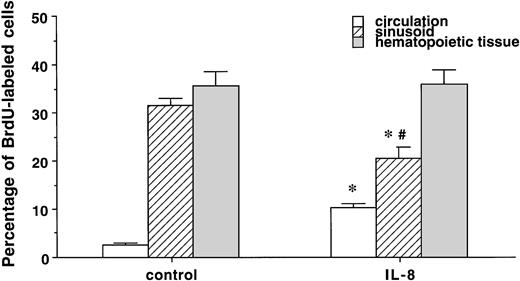 Fig. 5. The percentage of PMNBrdU in the circulation, sinusoids, and hematopoietic tissue in the BM 60 minutes after IL-8 (n = 6) or saline (n = 3). The percentage of PMNBrdU was higher in the hematopoietic tissue and venous sinusoids than in the circulating blood in both the IL-8 and control groups. IL-8 caused an increase in PMNBrdU in the circulating blood (P < .05) and a decrease in the PMNBrdU venous sinusoids (P < .05). Compared with the hematopoietic tissue, the percentage of PMNBrdU in the sinusoids was lower in the IL-8 group (P < .05), but not in the controls. Values are mean ± SEM. *P < .05 control versus IL-8 group, #P < .05 hematopoietic tissue versus sinusoids in the IL-8 group.