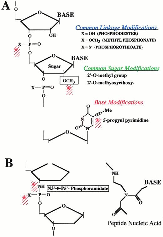 Fig. 4. Chemical modifications of oligonucleotides. (A) Common modifications of the phosphodiester linkage, sugar, and bases moieties are depicted. Note that 2′-O methyl sugar modifications confer stability to single-stranded RNases but not DNases. They do not allow binding of RNase H either. The propynl pyrimidines demonstrate enhanced binding to RNA but cannot permeate membranes. (B) N3-5P phosphoramidates and peptide nucleic acid backbone modifications confer enhanced stability and RNA binding. However, the latter do not permeate membranes and neither activates RNase H.