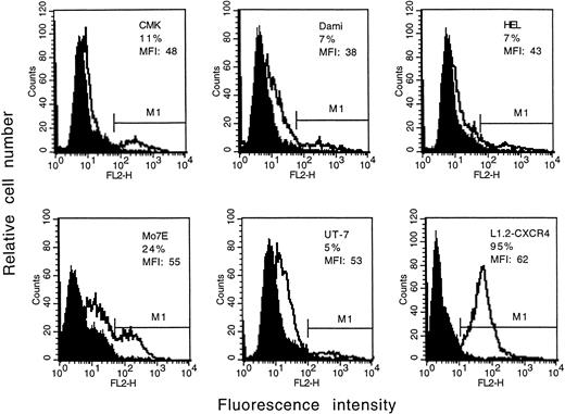 Fig. 5. Expression of the CXCR4 receptor on megakaryocytic leukemia cell lines. Cells were stained with a PE-conjugated anti-CXCR4 MoAb or isotype control antibody and then analyzed by flow cytometry. The staining with control antibody is shown as the solid profile and the staining with the anti-CXCR4 antibody is shown as the thin line. The percentage of positive expression is provided in the inset. MFI, mean fluorescence intensity.