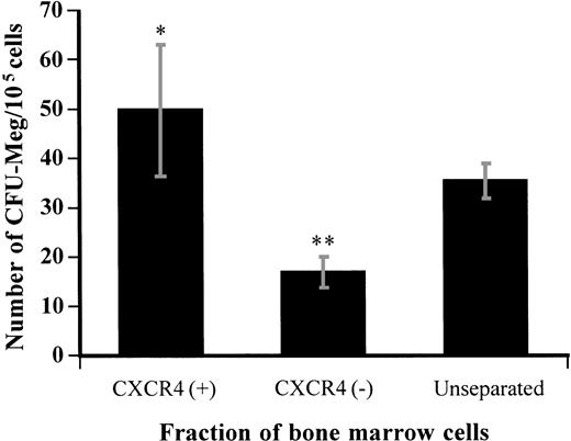 Fig. 6. Megakaryocyte colony formation from the CXCR4-positive or -negative fraction of bone marrow cells separated by immunomagnetic bead isolation. Nonadherent light-density bone marrow cells were separated by immunomagnetic bead isolation as described in Materials and Methods and then cultured in the plasma clot system for CFU-Meg. The number of megakaryocyte colonies was determined after 12 days of culture. Results represent the mean ± SD of three separate experiments performed in triplicate. * and ** show statistical significance compared with unseparated control and are assessed asP < .05 and P < .01, respectively.