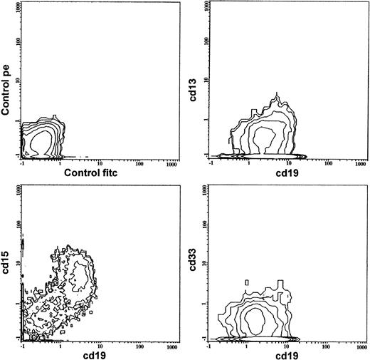 Fig. 1. Fluorescence-activated cell sorting (FACS) multigraph images of double-fluorescence analysis in a case of MYA+ALL. The patient had a B-lineage ALL with common phenotype. Blast cells showed positivity to CD19, CD11b, CD65w, and CD15 and negativity to CD13 and CD33. Fluorochrome used are FITC (for CD19) and PE (for MyAg).