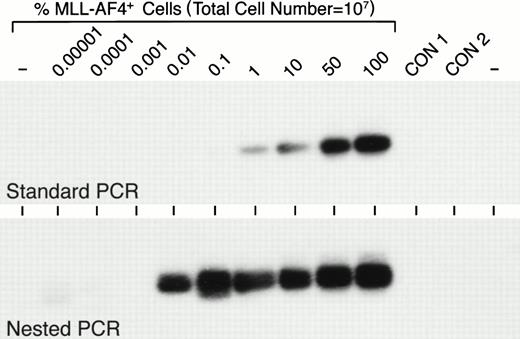 Fig. 1. Sensitivity of standard and nested RT-PCR assays for detection of MLL-AF4 fusion transcript-positive cells. Varying numbers (1 to 107) of MLL-AF4+ RS4;11 cells were mixed with cells from an EBV-transformed lymphoblastoid B-cell line to yield 0.00001% to 100%MLL-AF4+ cells in a test cell population containing a total of 107 cells. RNA was subtracted from these 107 cell samples and analyzed by standard RT-PCR as well as nested RT-PCR for MLL-AF4positivity, as described in Materials and Methods. CON, control.