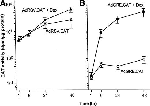 Fig. 2. AdGRE.CAT-mediated in vitro time course of CAT activity in HeLa cells upregulated by dexamethasone (Dex). (A) HeLa cells infected with AdRSV.CAT (25 moi), a control vector driven by the RSV-LTR constitutive promoter. (B) HeLa cells infected with AdGRE.CAT (25 moi). For both panels, after 24 hours, cells were incubated with or without dexamethasone (25 nmol/L) for an additional 1 to 48 hours, and CAT activity was quantified relative to total protein concentration. Shown are data for AdRSV.CAT with dexamethasone (▴) or without dexamethasone (▵); and for AdGRE.CAT infection with dexamethasone (•) or without dexamethasone (○). The data are presented as mean ± SEM of three independent experiments.