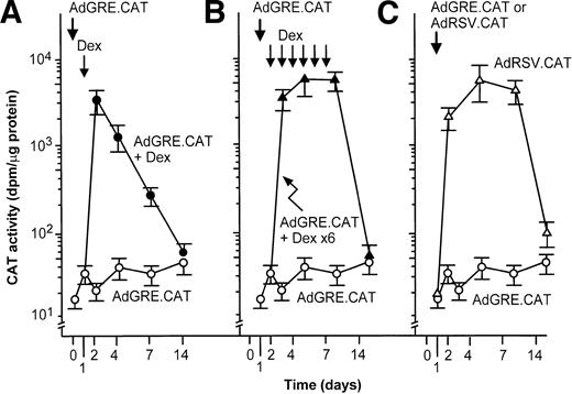 Fig. 5. In vivo time-dependent expression of CAT in response to dexamethasone (Dex) after administration of the AdGRE.CAT vector. CAT activity in the liver was evaluated before and 1 to 14 days after intravenous administration of the vector to C57B1/6 mice. (A) Time-dependent expression of CAT following administration of the AdGRE.CAT vector and dexamethasone. AdGRE.CAT (5 × 108pfu) was administered intravenously and dexamethasone and (50 μg) was administered intraperitoneally at day 1. Shown are data for CAT expression with dexamethasone (•) or without dexamethasone (○). (B) Effect of multiple daily administration of dexamethasone on CAT expression after administration of the AdGRE.CAT vector. The vector administration was identical to (B), but dexamethasone (50 μg/d) was administered intraperitoneally on 6 consecutive days. (C) Time-dependent expression of CAT following intravenous administration of AdGRE.CAT (5 × 108 pfu; ○) or AdRSV.CAT (5 × 108 pfu; ▵); no dexamethasone was administered. Shown are data for AdGRE.CAT after 6 days' administration of dexamethasone (▴) or without dexamethasone (○). The data are presented as mean ± SE of three independent experiments.
