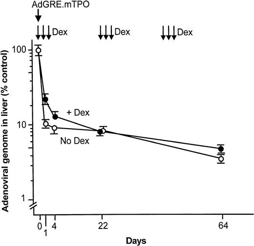 Fig. 8. Amount of adenovirus genome DNA in the liver after intravenous administration of the AdGRE.mTPO vector. Following administration of AdGRE.mTPO (5 × 108 pfu), dexamethasone (Dex) was administered intraperitoneally (50 μg/dose) on 3 consecutive days starting at days 1, 22, and 43. Following 10 minutes and 1, 4, 22, and 64 days after vector administration, the liver was removed, and the amount of vector genome determined by Southern analysis and quantified by phosphorimager. Data are presented as relative percent of data at 10 minutes on day 0 (defined as 100%). Shown are data for adenovirus genome with dexamethasone (•) and without dexamethasone (○). The data are presented as mean ± SE of three independent experiments.