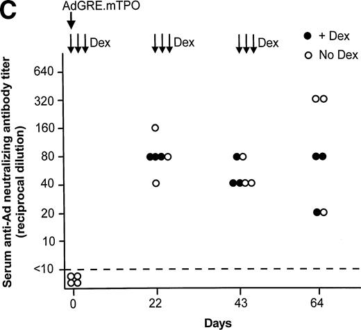 Fig. 9. Evaluation of the cellular and humoral immune response against AdGRE.mTPO vector with or without dexamethasone (Dex) administration in vivo. After administration of the AdGRE.mTPO vector (5 × 108), dexamethasone was administered intraperitoneally (50 μg/dose) on 3 consecutive days starting at days 1, 22, and 43. (A and B) CTL at day 43 after administration of AdGRE.mTPO with and without dexamethasone. Splenocytes were evaluated for their ability to lyse syngeneic cells infected with AdGRE.mTPO or AdNull. Data are presented as percent lysis of target cells mixed at various ratios with splenocytes relative to the total amount of51Cr that could be released by lysing 100% of the cells. Shown are data for uninfected target cells (“alone,” ▵), target cells infected with AdNull (○), and target cells infected with AdGRE.mTPO (•). (A) Mice receiving AdGRE.mTPO vector alone (no Dex). (B) Mice receiving AdGRE.mTPO vector plus dexamethasone administration (+Dex). (C) Serum concentration (titer/4.5 μL) of neutralizing antibody directed against Ad vectors before and 22 to 64 days following AdGRE.mTPO administration (5 × 108 pfu) with or without dexamethasone. The dashed line indicates the limit of sensitivity of the assay (titer < 10). Shown are data for serum anti-Ad neutralizing antibodies titer with dexamethasone (•) and without dexamethasone (○). The data are presented as individual time points for each animal.