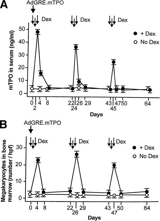 Fig. 10. Intermittent upregulation of mTPO levels in serum, megakaryocyte number in bone marrow, and blood platelet levels in C57B1/6 mice by intermittent administration of dexamethasone (Dex) following one-time intravenous administration of the AdGRE.mTPO vector. After administration of AdGRE.mTPO (5 × 108 pfu), dexamethasone was administered intraperitoneally (50 μg/dose) on 3 consecutive days starting at days 1, 22, and 43. (A) The mTPO concentration in serum evaluated before and 4 to 64 days after vector administration. Shown are data for mTPO level in serum with dexamethasone (•) and without dexamethasone (○). (B) The number of megakaryocytes in bone marrow before and 4 to 64 days following vector administration. Shown are data for megakaryocytes with dexamethasone (•) and without dexamethasone (○). (C) Platelet levels before and 4 to 64 days after vector administration. Shown are data for platelet levels with dexamethasone (•) and without dexamethasone (○). The data are presented as mean ± SE of three independent experiments.