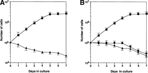 Fig. 1. Growth of HB-1 cells on hematopoietic supportive stromal cells. (A) HB-1 cells were cultured on hematopoietic supportive stromal cells, MS-10 (▴) or hematopoietic nonsupportive stromal cells, MS-K (▪). The number of HB-1 cells in suspension was counted every day. Data represent mean ± SE. (B) HB-1 cells were cultured on MS-10 cell layer, but separated by Millicell-HA membrane (▴) or cultured in the presence of conditioned medium of the coculture (•). HB-1 cells were directly cultured on MS-10 cells as control (▪). The number of HB-1 cells was counted every day. Data represent mean ± SE.