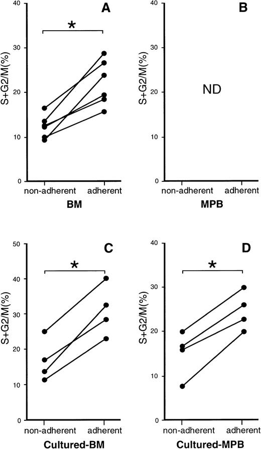 Fig. 1. Cell-cycle analysis of nonadherent and adherent CD34+ cells from BM and mobilized PB samples. (A and B) CD34+ cells enriched from the BM cells of six donors (A) and from PB cells of four donors (B) were cultured on an MS-5 monolayer. After a 1-hour incubation, nonadherent and adherent cells were obtained for the cell-cycle study. (C and D) BM cells (C) from four donors and mobilized PB cells (D) from four donors were enriched for CD34+ cells and cultured with IL-3 and SCF. On day 4 of the culture recovered cells were stained with CD34 MoAb and incubated on an MS-5 monolayer. One hour later, the nonadherent and adherent cells were collected and stained with FITC–anti-CD34 MoAb. CD34+ cells were analyzed as to cell-cycle status. The percentages of CD34+ cells that were in S + G2/M phase are presented. ND, not done. *P < .005 by paired t-test.
