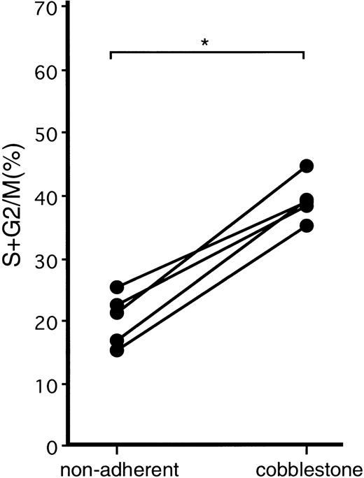 Fig. 2. Cell-cycle analysis of nonadherent and cobblestone area–forming cells generated after the coculture of mobilized PB CD34+ cells with stromal cells. Mobilized PB CD34+ cells were cultured on an MS-5 monolayer. On day 4, nonadherent and adherent cells were discarded. On day 6, when nonadherent cells, adherent cells, and cobblestone area–forming cells appeared, the three populations of the cells were collected and stained with anti-CD34 MoAb. CD34+ cells were analyzed as to cell-cycle status. The adherent cells were too few for the analysis. The percentages of CD34+ cells in S + G2/M phase are presented. *P < .0001 by paired t-test.