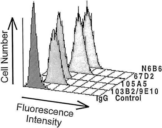 Fig. 1. Binding of CD164 MoAbs to stable FDCP-1 cells expressing CD164. FDCP-1 cells stably transfected with CD164 cDNA were labeled with the N6B6, 67D2, 105A5, or 103B2/9E10 MoAbs or with irrelevant first MoAbs of the same isotype. The reaction was developed with FITC-conjugated anti-mouse Ig antibody as detailed in Materials and Methods, and the median fluorescence values were determined after FACSCalibur analysis. The results of one of three experiments are shown. The IgG negative control histogram contains the second FITC antibody only. The median fluorescence intensity values for the negative isotype matched controls were: no first MoAb = 3.4; IgG3 = 3.4; IgG2a = 3.4; IgM = 3.4; and IgG1 = 3.3. The median fluorescence for each CD164 MoAb was: 103B2/9E10 = 45.32; 105A5 = 26.42; 67D2 = 138.24; and N6B6 = 121.37.