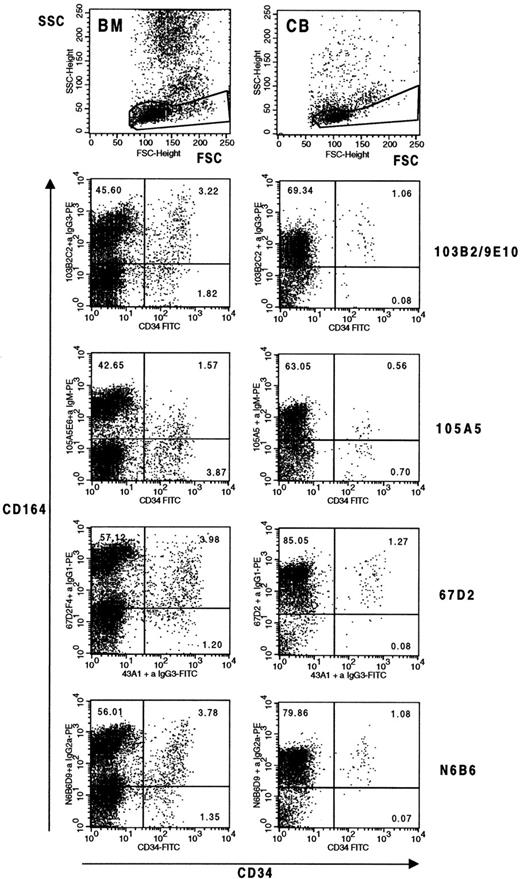 Fig. 3. Differential expression of CD164 epitopes on CD34+ bone marrow and cord blood cells from normal donors. Mononuclear cells were stained with CD164-specific MoAbs 103B2/9E10, 105A5, 67D2, and N6B6 together with CD34 as indicated in Materials and Methods and gated on forward and side scatter (top dot plots) before analysis on a FACSCalibur flow cytometer. In four independent bone marrow and three independent cord blood analyses, 4.6 ± 0.8% and 1.2 ± 0.1% of the scatter gated cells were CD34+, respectively. In the representative experiment shown, median fluorescence values for the CD34+CD164+ subsets of the human bone marrow (BM) gated cells were: N6B6 = 138.24; 103B2/9E10 = 212.88; 105A5 = 45.32; 67D2 = 198.10 and for the CD34−CD164+ gated subsets were: N6B6 = 294.97; 103B2/9E10 = 184.34; 105A5 = 220.67; 67D2 = 697.83. Median fluorescence values for the CD34+CD164+ subsets of human cord blood (CB) cells were: N6B6 = 148.55; 103B2/9E10 = 294.27; 105A5 = 37.86; 67D2 = 283.87 and for the CD34−CD164+ gated subsets were: N6B6 = 119.71; 103B2/9E10 = 69.78; 105A5 = 77.74; 67D2 = 273.84. Cells were also labeled with CD34-FITC or the CD34 MoAb, 43A1, plus an anti–IgG3-FITC secondary antibody, together with isotype-matched irrelevant control MoAbs for each CD164 MoAb used plus anti-isotype–specific PE-conjugated antibodies. Under these conditions, 0.08% to 0.12% of cells occured in the CD34+ Ig Isotype− gates, and 0.08% to 0.38% of cells occured in the CD34− Ig Isotype− gates.