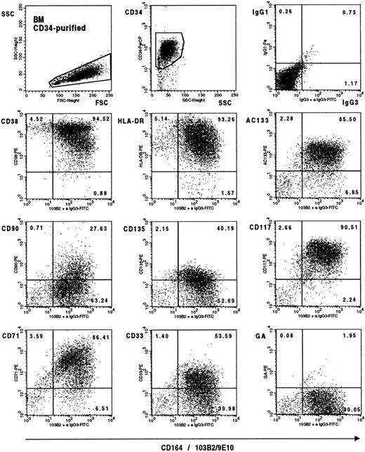 Fig. 4. Triple-color analysis of primitive markers on CD34+CD164(103B2/9E10 epitope)+ bone marrow cells. CD34+ bone marrow cells were labeled with 103B2/9E10 plus CD34-PerCP and with each of the antibody PE conjugates indicated before staining with FITC-F(ab)2 goat anti-mouse IgG3. Plots are two-color dot plot displays from a representative experiment of CD34 purified cells gated on forward and side scatter parameters (left top dot plot) and on PerCP-CD34+ fluorescence and side scatter (middle dot plot). The arbitrary gates indicated on the dot plots were determined with appropriate isotype-matched negative controls. Examples of the IgG1/IgG3 isotype negative controls (top right dot plot) and of CD164(103B2/9E10 epitope)/anti–IgG3-FITC staining plus labeling with a nonbinding PE-conjugated anti–glycophorin A conjugate (bottom right dot plot) are indicated. Similar results were obtained for the IgG1/IgG2a isotype negative controls.