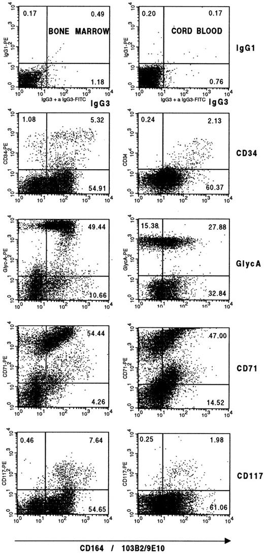 Fig. 5. CD34−CD164(103B2/9E10 epitope)+ bone marrow and cord blood cells contain nucleated erythroid cells. Ficoll separated bone marrow or cord blood mononuclear cells were labeled with 103B2/9E10 together with the PE-antibody conjugates indicated on the dot plots before staining with FITC-F(ab)2 goat anti-mouse IgG3 and flow cytometric analyses. Plots are two-color displays of cells gated on the lymphoid/erythroid/blast cell gate in Fig 3. The arbitrary gates shown on the dot plots were determined with negative control isotype-matched irrelevant antibodies as described in Materials and Methods.