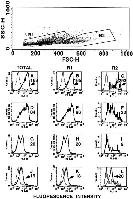 Fig. 7. Flow cytometric analysis of day-9 cultured cord blood erythroid cells. Cord blood CD34+ cells were cultured for 9 days under erythroid conditions as described. These cells were labeled with MoAbs to the erythroid-specific markers, glycophorin C (A through C), glycophorin A (D through F), or band III (G through I) or with the CD164(103B2/9E10) MoAb (J through L), followed by FITC anti-mouse IgG. Cells were analyzed on a FACSCalibur on the basis of forward and side light scatter parameters. Either the whole cell population was analyzed (dark histograms A, D, G, J) or the cells were gated into two subsets based, both with low side scatter and with low to medium forward scatter (R1) or medium to high forward scatter (R2) before fluorescence analysis (dark histograms B, E, H, K for R1 and C, F, I, L for R2). Values adjacent to each histogram represent median fluorescence values. Isotype-matched negative controls for A through I were an irrelevant IgG1 mouse MoAb (light histograms in A through C) or an irrelevant mouse IgG3 MoAb (light histograms in J through L). Median fluorescence values for negative controls were A = 9; B = 9; C = 6; J = 9; K = 9; L = 8.
