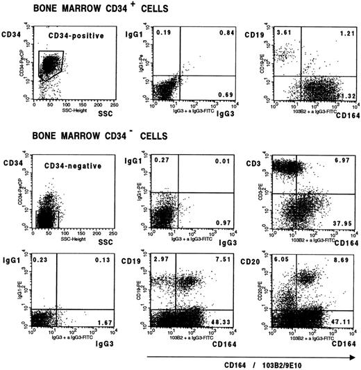 Fig. 8. Bone marrow lymphoid cells differentially express the CD164(103B2/9E10) epitope. Representative dot plots from one of two separate experiments showing CD34+ bone marrow cells and Ficoll separated bone marrow mononuclear cells labeled with the 103B2/9E10 MoAb or with an IgG3 negative control MoAb plus CD34-PerCP and with the PE-conjugated MoAbs indicated before counterstaining with FITC anti-mouse IgG3 and analysis on the FACSCalibur. In contrast to the more mature CD34−CD19+ and CD34−CD20+ B cells, the immature CD34+CD19+ B-cell subset failed to express the CD164(103B2/9E10) epitope. The median fluorescence intensity for CD164(103B2/9E10) staining of the CD34−CD3+cells was 9.08 after subtraction of the isotype-matched negative control value, indicating that the CD34−CD3+ T-cell subset was weakly reactive with the 103B2/9E10 MoAb.