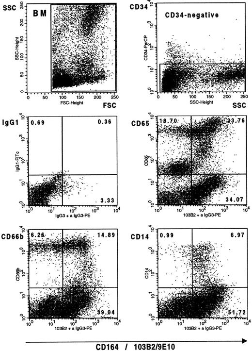 Fig. 10. The CD164(103B2/9E10) epitope is expressed on myelomonocytic cells in bone marrow. Representative dot plots from one of two separate experiments showing Ficoll separated bone marrow mononuclear cells labeled with the 103B2/9E10 MoAb or with an IgG3 negative control MoAb plus CD34-PerCP and with the FITC-conjugated MoAbs indicated before counterstaining with PE anti-mouse IgG3 and analysis on the FACSCalibur. Gates were set to exclude the CD34+ cell population before myelomonocytic cell analysis.