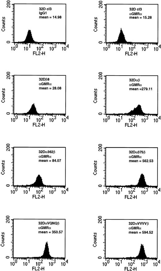 Fig. 2. Expression of wild-type and mutant GMRα subunits in 32Dcl3 cells. 32Dcl3 cells stably expressing wild-type and mutant GMRα were analyzed for cell surface expression by FACS. In the FACS analysis, indicated cells were stained with either IgG1isotype control or anti–GMRα subunit antibody (Santa Cruz Biotechnology, Inc) and analyzed as described in Materials and Methods.