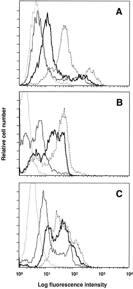 Fig. 4. Expression of surface markers on blood mononuclear cells 48 hours after the administration of antibodies. Mice were injected with 300 mg of anti-CD44 (A), anti–VLA-4 (B), and anti-CD11a (C). Control mice received 300 mg of rat Ig. Cells were stained with the injected antibody and FITC–MARK-1 (control mice, dashed line; treated mice, thick line) to test the global expression of the surface antigen; or with FITC–MARK-1 alone (control mice, dotted line; treated mice, thin line) to detect the injected antibody bound to the cell surface.