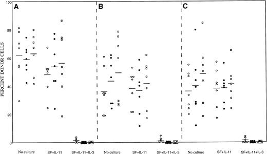 Fig. 1. Repopulating abilities of freshly sorted bone marrow cells and cultured cells. (A) Mice transplanted with wild-type cells. (B) Mice transplanted with βIL-3 −/− cells. (C) Mice transplanted with βc −/− cells. (○), 2 months posttransplantation; (•), 4 months posttransplantation; (□), 6 months posttransplantation.