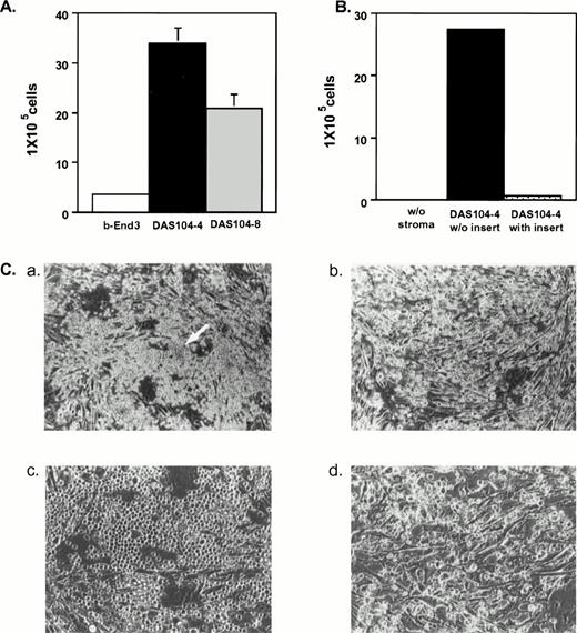 Fig. 3. Expansion of fetal liver hematopoietic stem cells on AGM-derived endothelial cell lines. (A) Three thousand fetal liver stem cells (lin−CD34+Sca-1+c-Kit+) were plated on each stromal cell line and cultured for 7 days. Cells were trypsinized, and nonadherent cells were collected and counted. (B) Cell contact is required for efficient expansion of fetal liver stem cells on DAS 104-4. One thousand fetal liver stem cells (lin−−CD34+Sca-1+c-Kit+) were plated either directly onto the DAS 104-4 cell line or in a transwell (insert) immersed in media conditioned by this cell line. After 1 week, nonadherent hematopoietic cells were isolated and counted. (C) Hematopoietic colony morphologies of fetal liver stem cells plated on the DAS 104-4 cell lines after 5 days in culture. Panels a (20×) and c (200×) show a “cobblestone”-type structure containing blast-like cells (arrow in panel a). Panels b (20×)and d (200×) show macrophage-like cells that predominate in the cultures.
