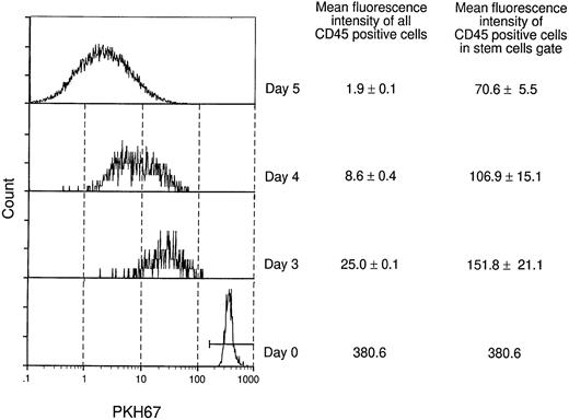 Fig. 6. Analysis of fluorescently labeled stem cells in vitro. lin−CD34+Sca-1+c-Kit+fetal liver stem cells were stained with the fluorescent dye PKH67.29 PKH67+ cells were plated onto DAS104-4 cells and cultured for 3, 4, or 5 days. Cells were obtained, gated for live cells (PI−) and CD45 (hematopoietic cells), and PKH67-GL fluorescence intensity was analyzed by FACS. Fluorescence intensity of stem cells in the PKH67highregion was obtained by gating cells for high expression of PKH67 and analyzing the fluorescence intensity of these cells. Note that the fluorescence intensity of cells in the PKH67high region goes down with time, although at a slower rate than the bulk of cells.