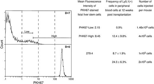 Fig. 7. Reconstituting activity of cells in the PHK67-low versus PHK67-high region. PKH67-labeled cells were either directly injected into lethally irradiated animals or incubated for 7 days on DAS 104-4, sorted for PKH-67-low versus -high fluorescence, and then injected into lethally irradiated animals. As can be seen, all of the reconstituting activity is found in the PKH67-high fraction with a mean fluorescence of 8.45 versus a starting fluorescence of 279.4, consistent with self-renewal and maintenance of stem cell phenotype of hematopoietic cells proliferating on DAS 104-4.