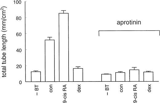Fig. 5. Effect of aprotinin on hormone-modulated tube formation. hMVEC were cultured on three-dimensional fibrin matrices in incubation medium containing 20 ng/mL bFGF and 20 ng/mL TNF-α, and the appropriate hormone (1 μmol/L 9-cis RA or 1 μmol/L dexamethasone) or vehicle (con). For comparison, cells incubated in the absence of bFGF and TNF-α (−BT) were included. An inhibitor of plasmin activity, aprotinin (100 KIU/mL), was added at the start of the experiment. Total tube-length/cm2 ± standard error of mean (SEM) was determined of triplicate wells as described in Materials and Methods.
