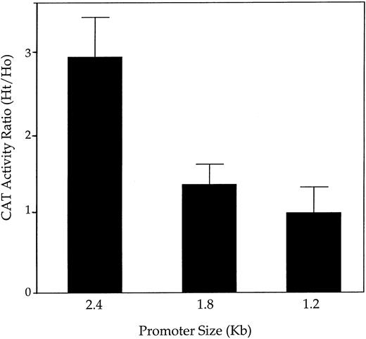 Fig. 5. The 5′ upstream region of rat PAI-1 promoter is required for induction in a heterotypic coculture. A series of 5′ deletions of the 2.4-kb rat PAI-1 promoter31 were cloned upstream of a CAT reporter gene and transfected into L-cells. For each construct several transfected clones were selected and grown either alone or after mixing with LE-II endothelial cells (in a 1:1 ratio). Cultures were grown for 5 days (ie, at least 1 day after reaching confluence) and then obtained and analyzed for CAT activity. A comparison was made between the heterotypic cocultures (Ht) and an equal number of cells of the respective L-cell clone to which LE-II cells were added (both obtained from individually grown cultures) (Ho). Results are expressed as an Ht/Ho ratio and are the average of six different clones for each construct.